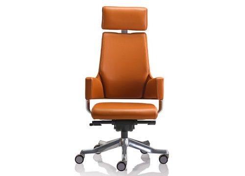 כסאות מנהלים delphi 2 500x360 - כסאות מנהלים