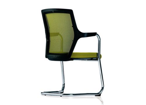 כסאות אורחים robin 5 500x360 - כסאות אורחים