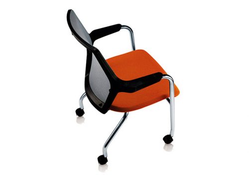 כסאות אורחים robin 6 500x360 - כסאות אורחים